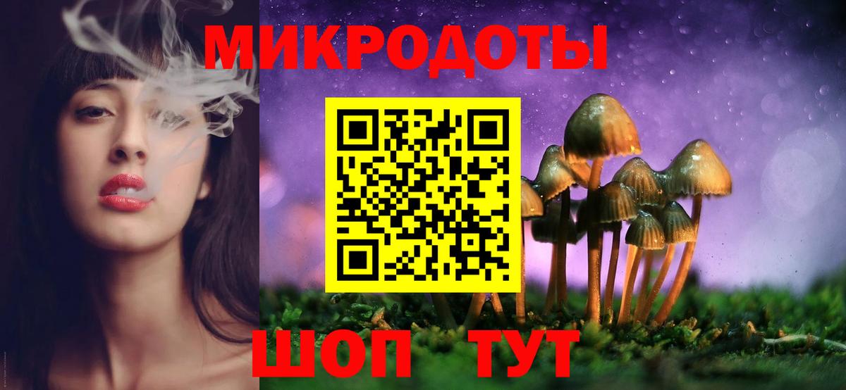 Торжок  Псилоцибиновые грибы Cubensis  Вход с VPN 
